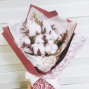 예쁜꽃방 이미지