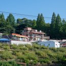 돌산펜션 이미지