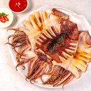 통탈라이프케어 | 포항체중관리 잘하는 곳, 포항셀포렙에서 건강관리&체형관리이뮨팩토리 시크릿스테이션 (솔직 후기)