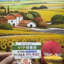 브이아이피아로마