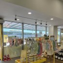 댕댕이푸드 이미지