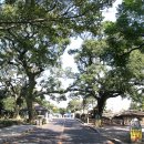 성읍리-7 이미지