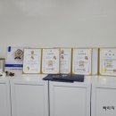 윈썸브로우