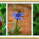 마한문화공원 이미지