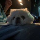 마수목장 | 일상｜떠나요 so00on。。