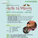 온누리예술단 이미지