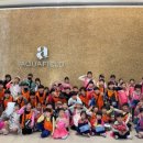 강서비룡태권도 이미지