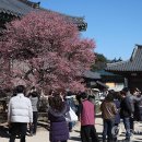 시나브로 이미지