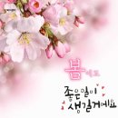 🍒운명과 숙명🍒🍎김치와 곰팡이🍎🎉날아라 두바퀴 청단이님🎉 이미지