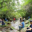 대구한의대학교 이미지