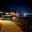 보문호반길 이미지