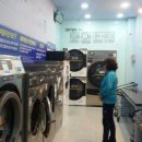 크린세탁광장 이미지