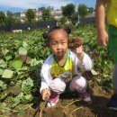 상일농장 이미지