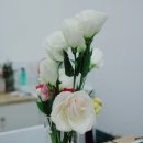 더그린썸 이미지