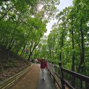 초막골생태공원(폭포화장실) | 군포시 초막골 생태공원~2025. 04. 27