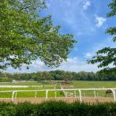 원당공원 화장실 이미지