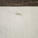 풍성한세탁 이미지