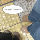 구열남성경로당 | 홍대 ❥･• 오타쿠 굿즈 투어 ♥ ັ 도파민 터지는 데이트 ˃̵͈̑ᴗ˂̵͈̑ ♡̴