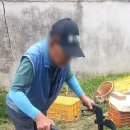 현대복지용구 이미지