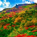 산록가든 이미지