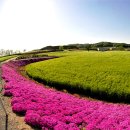 연천 경순왕릉 이미지