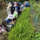 꿀참나무숲 유치원 이미지