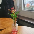 더봄(the봄) 이미지