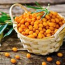 부근농장 이미지