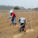 로타리 꽃농원 이미지