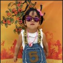 본토,만다복 이미지