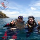 섬게스트하우스 이미지