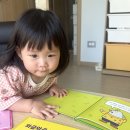 20개월 아기 생활동화 추천 교원 빨간펜 두비의 즐거운 생활 후기