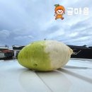 무 쇼핑하우