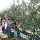 애플스토리 이미지