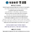 독한마캣 이미지