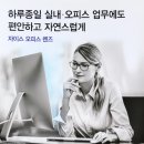 신세기안경 이미지
