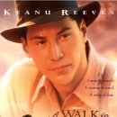 구름속의 산책 이미지