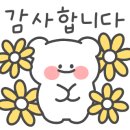 용인대대일태권도장