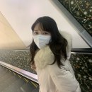 조이엘 붙임머리