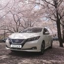 해운동051 이미지