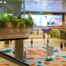 SG미디어 | 싱가포르 입국신고서 SG카드 작성방법 창이공항 자동 입국 후기