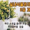 실내식물관리사 2급 자격증 과정 이미지