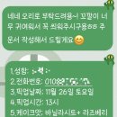 버니비케이크