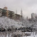 서울시 중구 신당동 현대아파트 단지 겨울 이미지