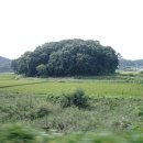 계양고등학교 옆 이미지