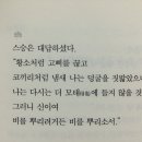그물에걸리지않는바람처럼