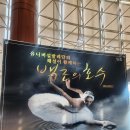 [발레] 백조의 호수 김천문화예술회관 후기