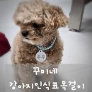 꾸미네 강아지인식표목걸이, 맞춤 제작으로 더 특별하게! 착용감까지 완벽
