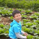 자유로스테이 이미지