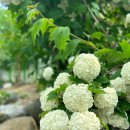 민석농장 이미지